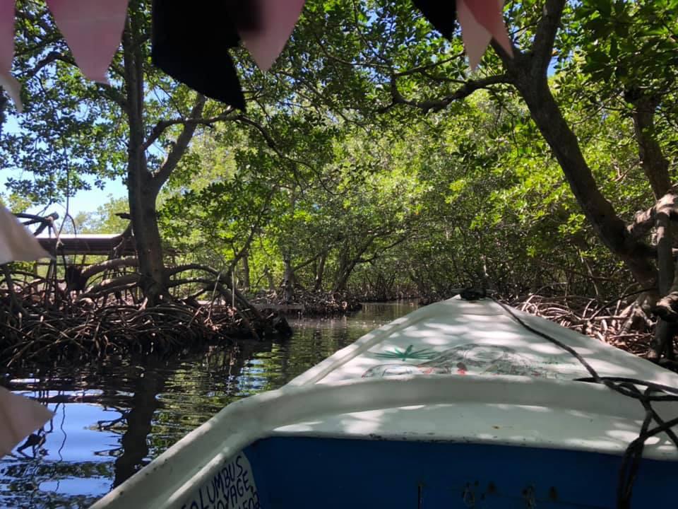 Kayak & Paddleboard Bay Exploration