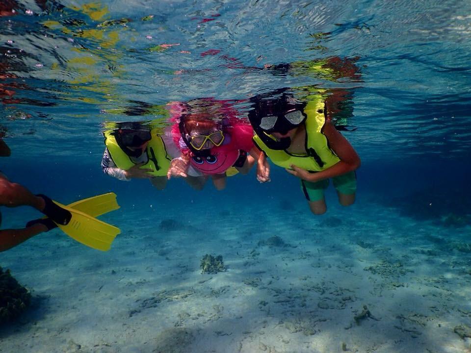 Wildlife Sanctuary & Reef Snorkel Combo